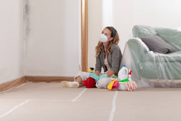 Reliable Mold Remediation contractor in Allen, TX by Cheap Mold Removal